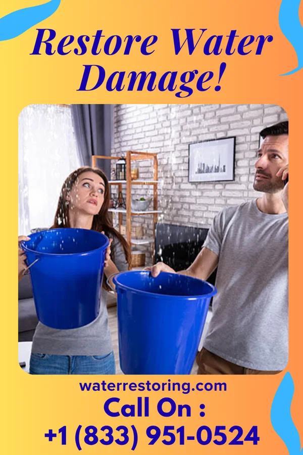 water restoration Priority Sewage Cleanup Group Wynantskill